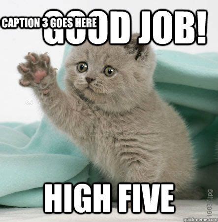 Good job! High five Caption 3 goes here | Cute cat memes, Funny cat memes, Funny animals