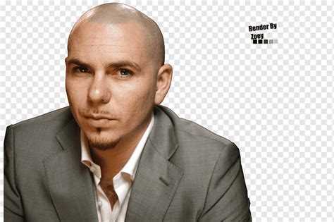 Pitbull Starring in Rebelution Musician Rapper Singer-songwriter, actor, celebrities, top, song ...