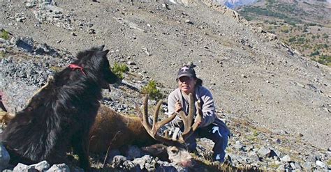 Mule Deer hunting trips - BookYourHunt.com