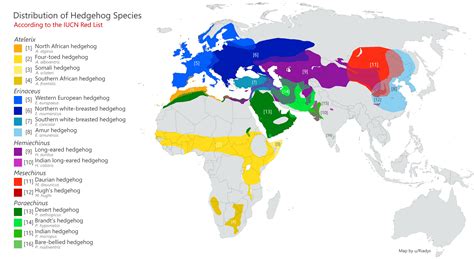 Distribution of Hedgehog Species : r/MapPorn