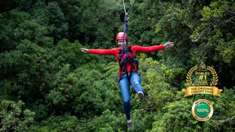 Rotorua Canopy Tours | Rotorua NZ