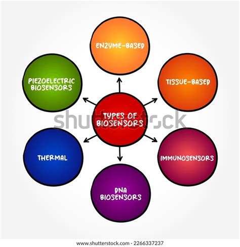 Types Biosensors Analytical Device Used Detection Stock Vector (Royalty Free) 2266337237 ...