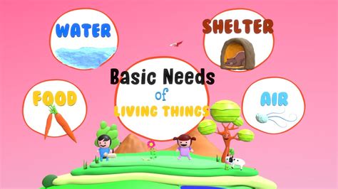 Needs of Living Things | Basic Needs of Living Things | What do Living ...