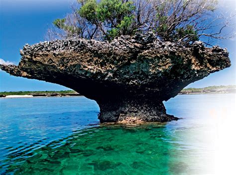 No1 Amazing Things: The Aldabra Atoll