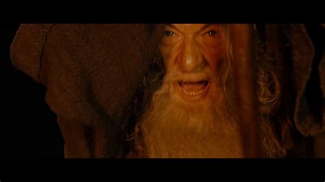 Gandalf You Shall Not Pass Meme - Meme Creator Funny Professor Gandalf You Shall Not Pass Meme ...