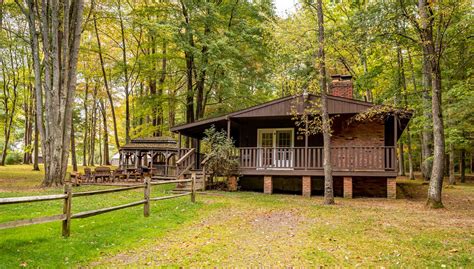 Cook Forest Top Hill Cabins | visitPA