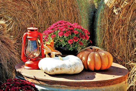 Fall Farm Decor 2 Free Stock Photo - Public Domain Pictures