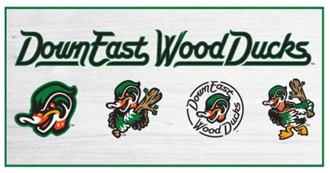 Down East Wood Ducks Unveil Branding | Wood ducks, Sports team logos ...