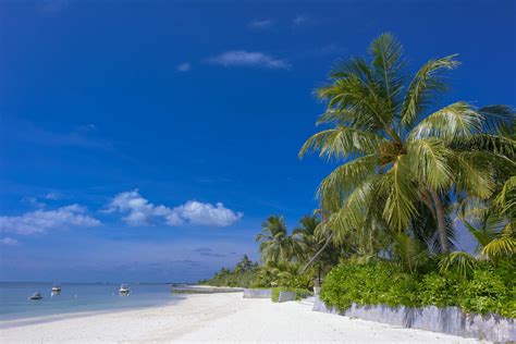 Landscape Photography of Island · Free Stock Photo