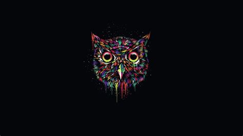 Owl 1080P, 2K, 4K, 5K HD wallpapers free download | Wallpaper Flare