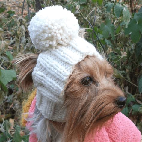 yorkie-dog-hat-crochet-pattern - Crochet News