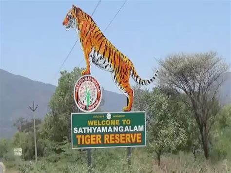 Tamil Nadu: Water tanks being constructed at Sathyamangalam Tiger ...