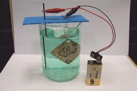 Electroplating Experiment for Fun | Electroplating diy, Electroforming tutorial, Electroplating