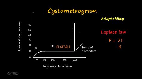 The concept of cystometrogram simplified - YouTube