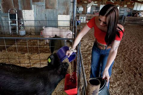 ‘Pig Royalty,’ a new reality series on Discovery+, spotlights San Antonio-area families