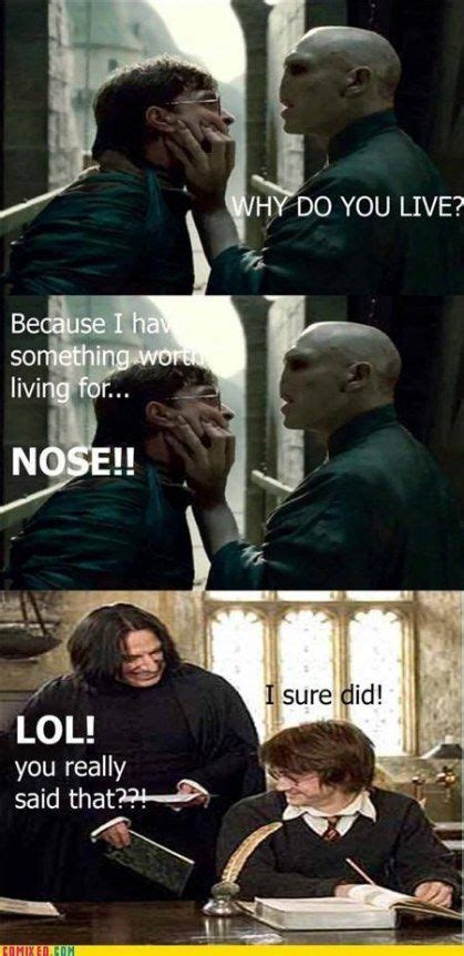 Funny Harry Potter Memes Lord Voldemort & Funny Harry Potter Memes ...