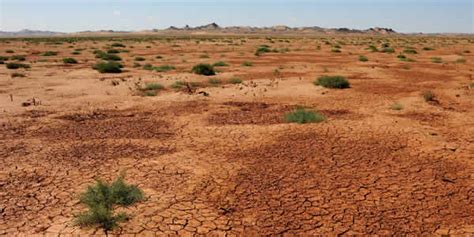 Causes and Effects of Desertification | Greentumble