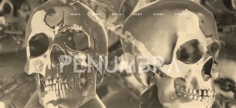 Presenting our new website – Penumbra