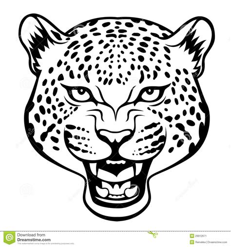 jaguar face clipart 20 free Cliparts | Download images on Clipground 2024