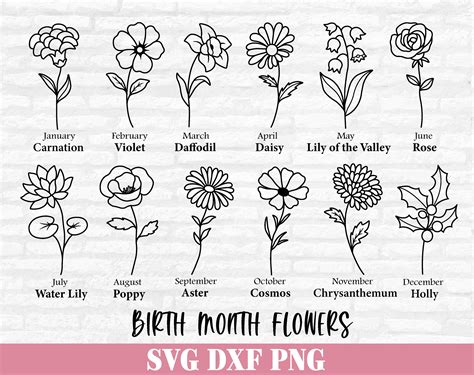 Birth Month Flowers Svg Birthday Flower Svg Flower Svg - Etsy Canada