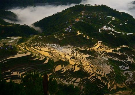 Maligcong, Mt. Province: Ate Suzette's Homestay and the Rice Terraces ...