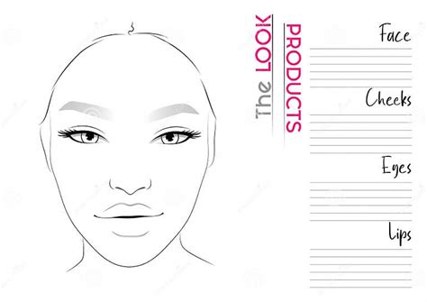 Realistic Makeup Artist Face Chart Template for Makeup Artists. Vector Illustration Stock Vector ...