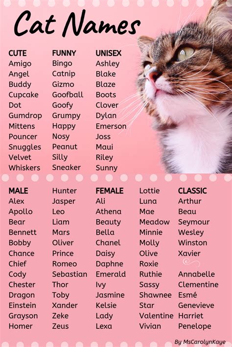 This list of cat names offers ideas for male and female cats. Whether you're looking for classic ...