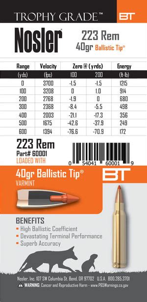 223 Remington 40gr Ballistic Tip (20 ct.) – NAHS – North American ...