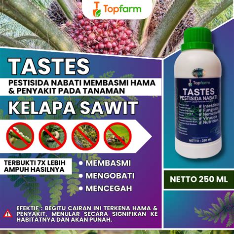 Jual Obat Bintik Pada Daun Sawit / Obat Kelapa Sawit Mati Pucuk / Obat Pembasmi Hama Kelapa ...