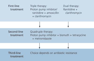 Antibiotic Treatment of Patients with H. pylori | AAFP