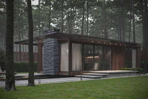 Modern Single Story Forest House With Pool in UkraineInterior Design Ideas.