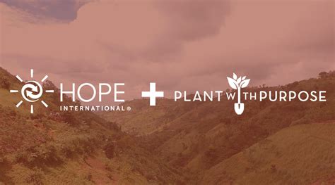 Plant With Purpose partnership means financial resilience for farmers | HOPE International