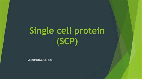 Single cell protein (SCP): Substrate and steps involved in production - Online Biology Notes