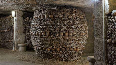 Paris Catacombs | The 39 Clues Wiki | Fandom