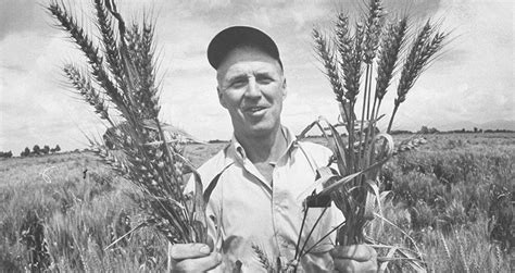 How Norman Borlaug's Green Revolution Saved A Billion Lives