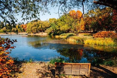 Seoul Forest Park, Pond with Autumn Colorful Trees in Korea Stock Image - Image of beautiful ...