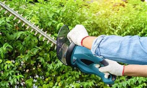 Hedge Trimmer Safety Tips for Beginners - HSD Online