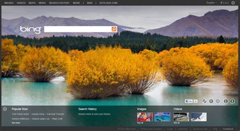 Bing’s Homepage Image Is a “Source of Momentary Delight” – Microsoft - Softpedia