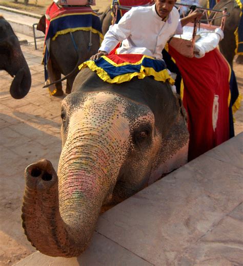 Amber Fort History, Facts & Pictures - Near Jaipur,