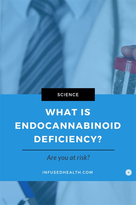 What is Endocannabinoid Deficiency? | Dr. Michele Noonan Ross