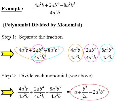 Make Polynomial Division Simple with these Steps from GradeA