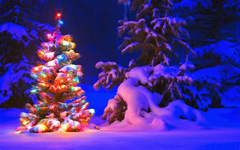 Christmas Tree in Snow Land Wallpaper - WallpapersXplore | Free HD Desktop Wallpapers