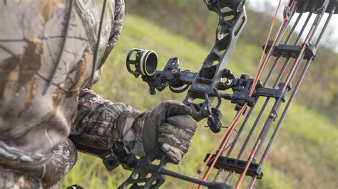 Types of Bows | Bowhunting.com