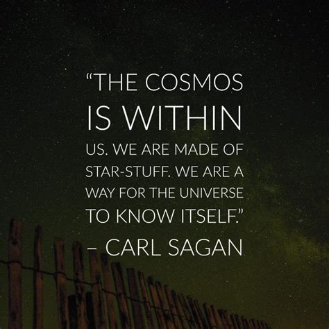 30 Precious Carl Sagan Image Quotes about the Cosmos | Inspirationfeed | Cosmos quotes, Carl ...