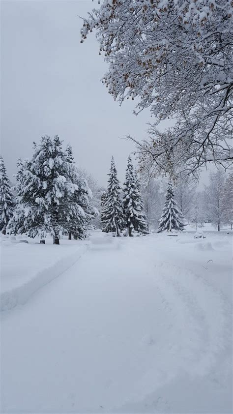 Winter Landscape in Norway, Oslo