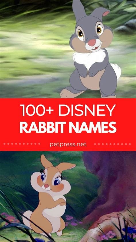 100+ Disney Rabbit Names: List of Names Inspired by Disney Characters