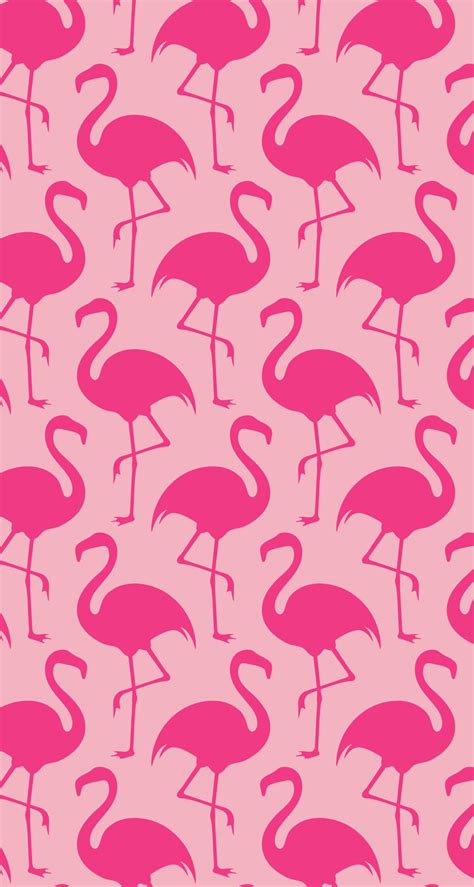 🔥 [60+] Pink Flamingo Wallpapers | WallpaperSafari