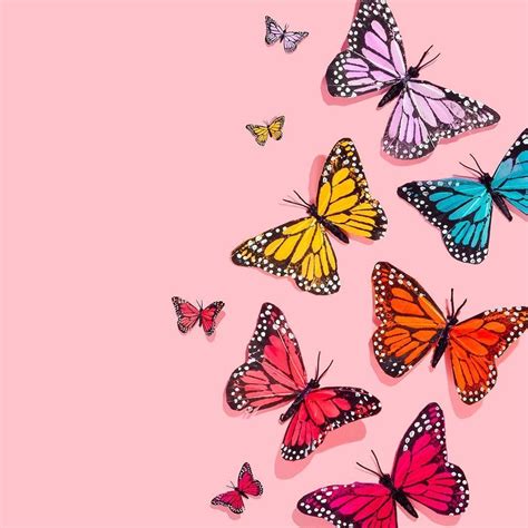 Aesthetic Butterfly Wallpapers - Wallpaper Cave