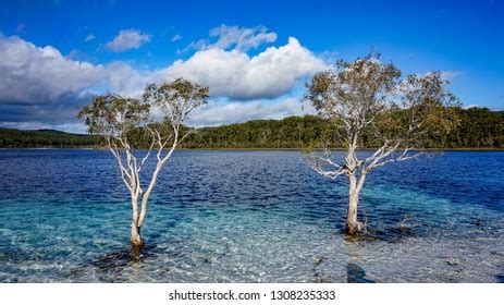 995 Mckenzie Lake Images, Stock Photos & Vectors | Shutterstock