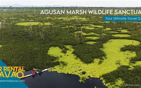 Into the Vast Wetland of Agusan Marsh Wildlife Sanctuary